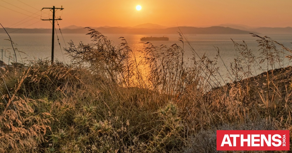Τζούντιθ Άλλεν Ευσταθίου: Τα ανθισμένα μονοπάτια της Κέας