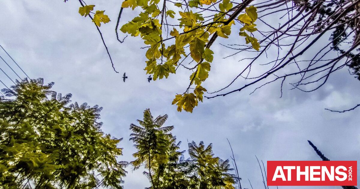 Με συννεφιά ο καιρός την Παρασκευή - Σε ποιες περιοχές θα βρέχει
