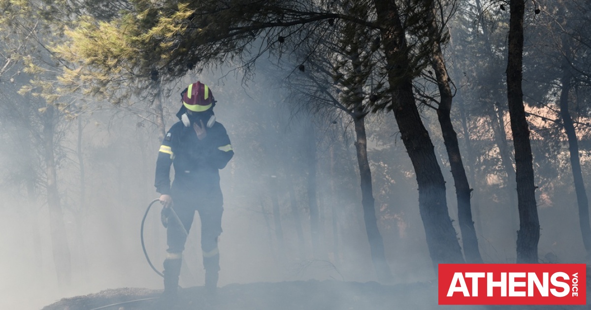 Πέντε συλλήψεις για εμπρησμούς από αμέλεια σε μια μέρα - Συνολικά 65 συλλήψεις από την αρχή του έτους