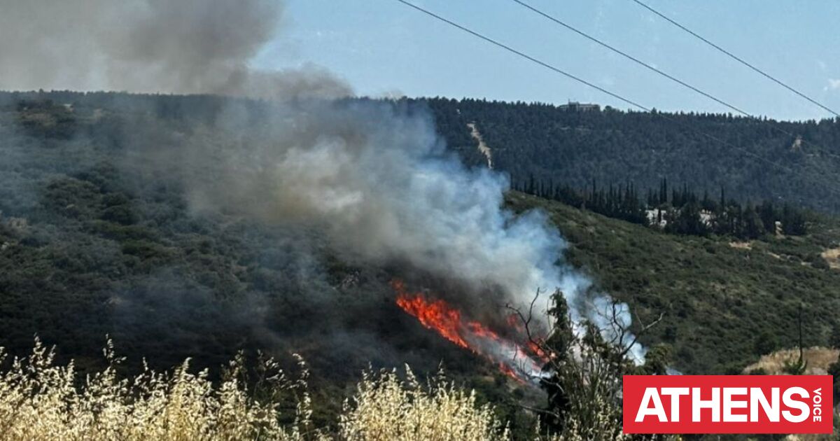 Θεσσαλονίκη: Τρεις συλλήψεις για την πυρκαγιά σε δασική έκτα
