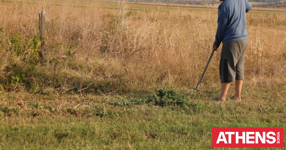 Ακαθάριστα οικόπεδα: Τελειώνει η προθεσμία, όλα τα πρόστιμα