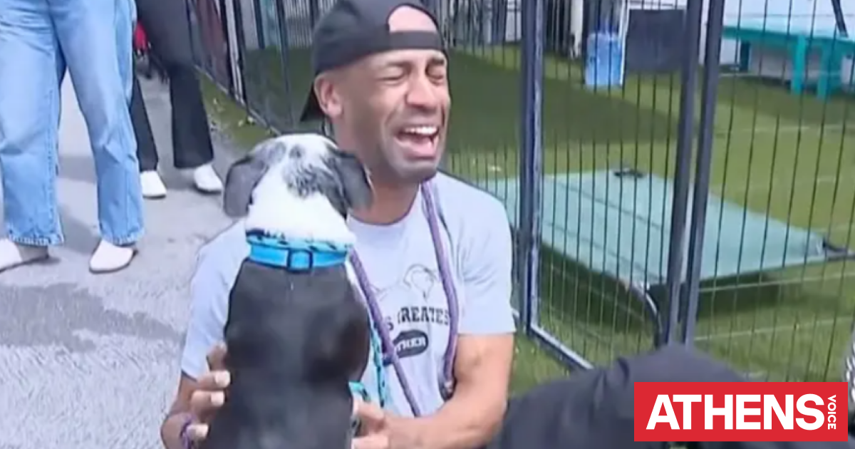 Βρήκε τον σκύλο του τρία χρόνια αφού τον είχαν κλέψει στο Λος Άντζελες και ξέσπασε σε λυγμούς
