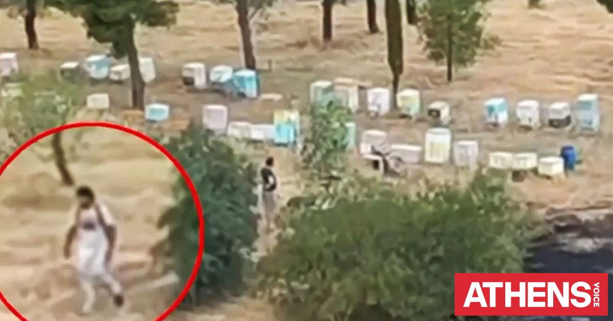 Συνελήφθη ο 45χρονος μελισσοκόμος που έβαλε τη φωτιά στο Άλσος Βεΐκου στη Φιλοθέη