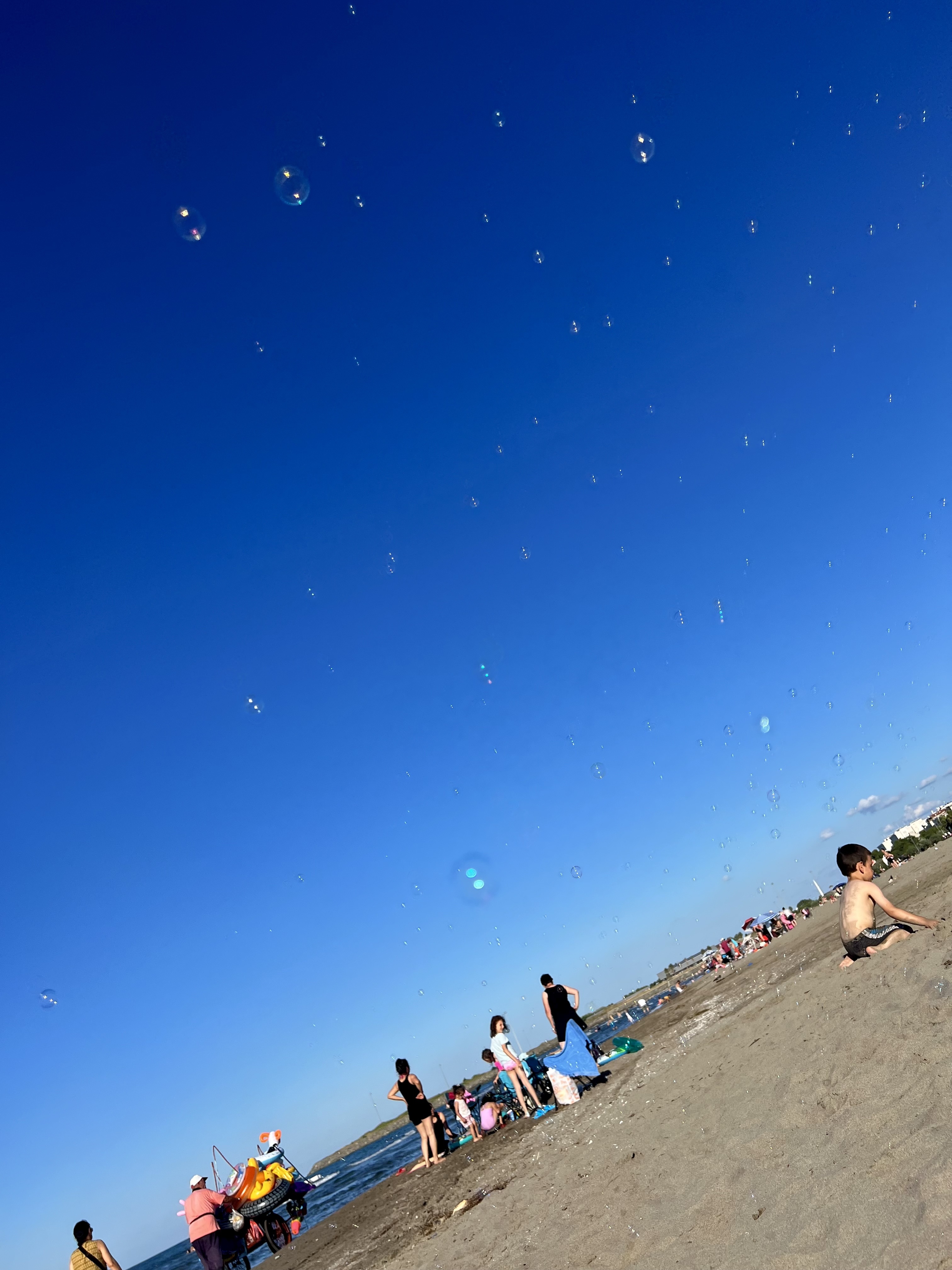 Μαύρη Θάλασσα, λευκές μπουρπουλήθρες (παραλία Atakum, Samsun) © Μενέλαος Γκάρτζιος