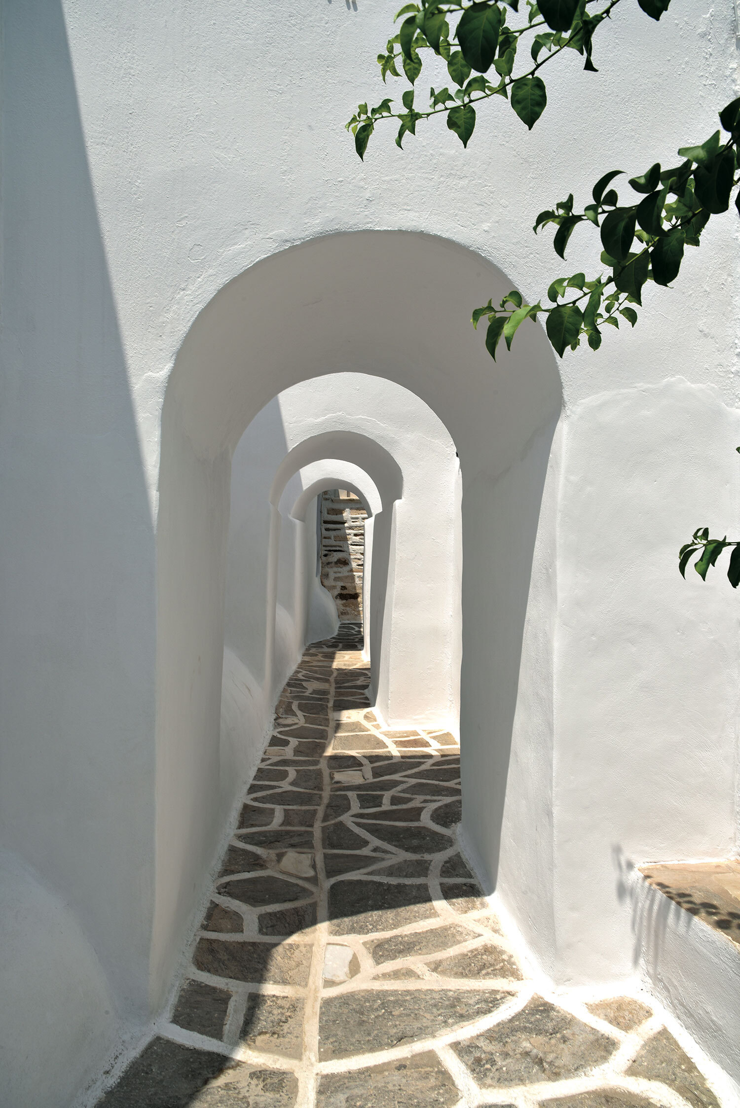 Το λεύκωμα «Greek Islands» του Χρύσανθου Πανά (εκδόσεις Assouline)