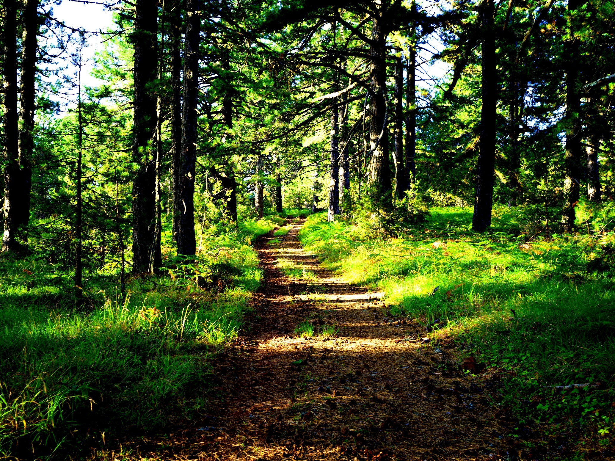 Ανάβαση στο βουνό Όρλιακας: Το οδοιπορικό του Γιώργου Ζαρζώνη σε ένα φωτογραφικό αφιέρωμα, στη νέα στήλη The Mountain Walker.