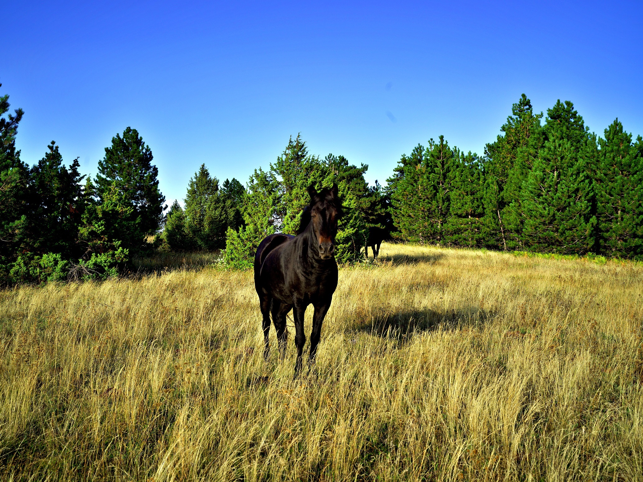 Ανάβαση στο βουνό Όρλιακας: Το οδοιπορικό του Γιώργου Ζαρζώνη σε ένα φωτογραφικό αφιέρωμα, στη νέα στήλη The Mountain Walker.