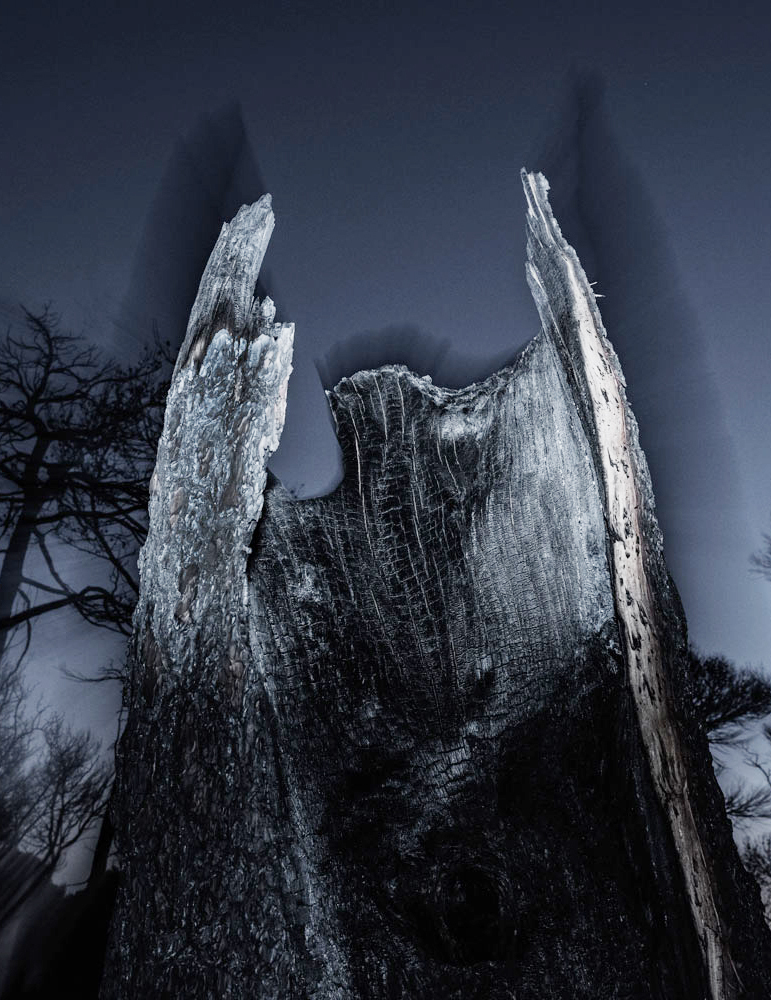 Τάσος Βρεττός, «Το αίνιγμα του δάσους»