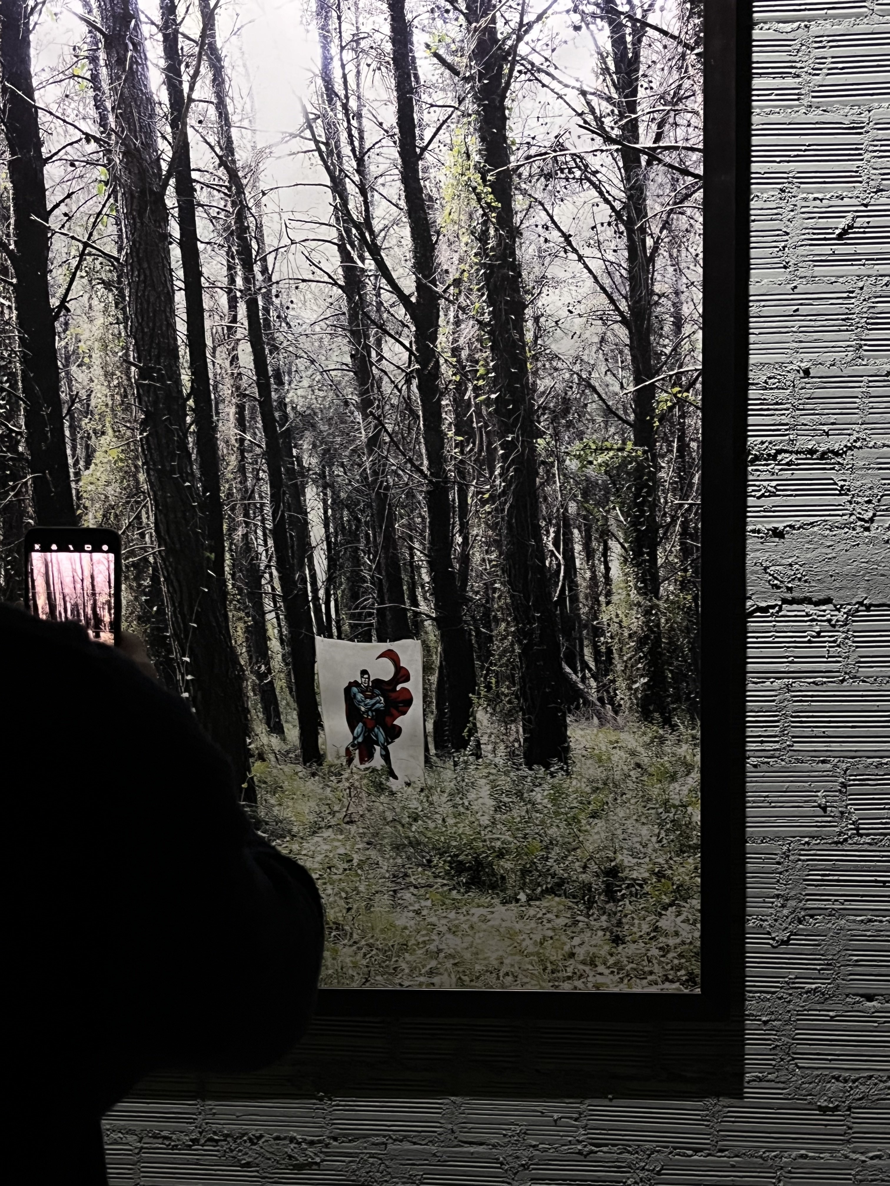 Επίσκεψη στην έκθεση του φωτογράφου Τάσου Βρεττού «Το αίνιγμα του Δάσους» στο κτίριο «Νόμπελ» στο Χαλάνδρι