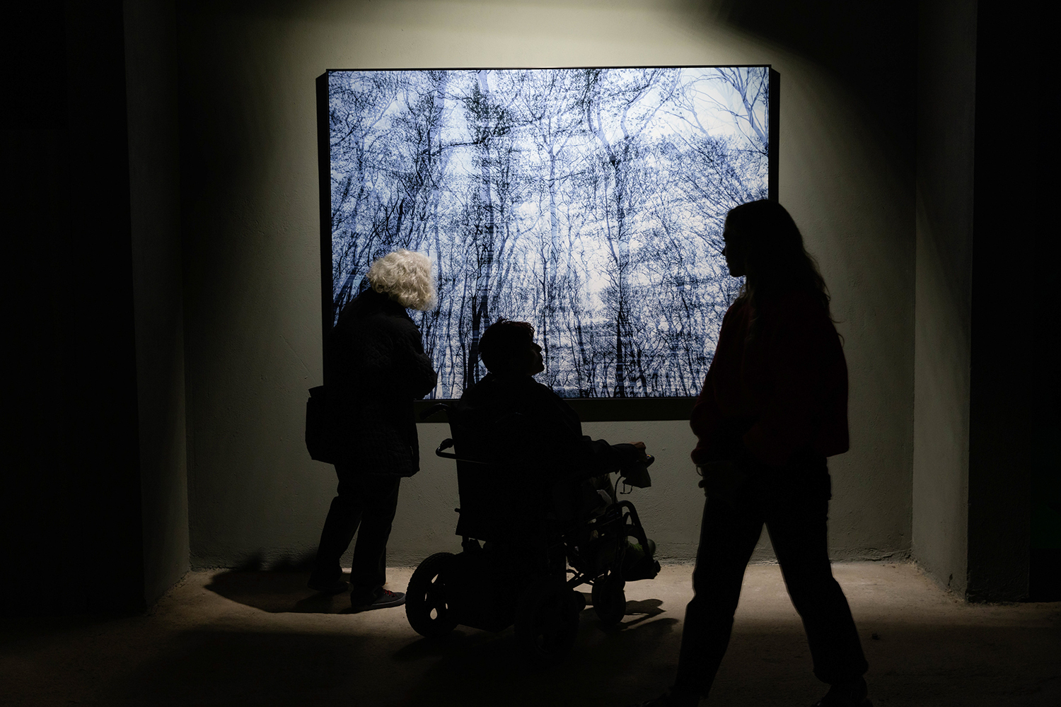 Επίσκεψη στην έκθεση του φωτογράφου Τάσου Βρεττού «Το αίνιγμα του Δάσους» στο κτίριο «Νόμπελ» στο Χαλάνδρι