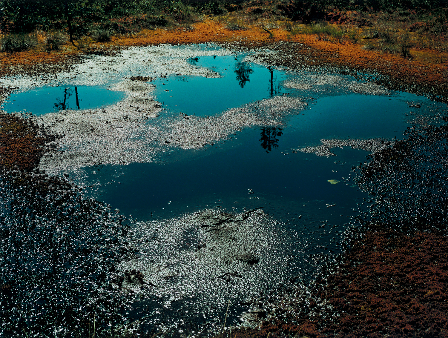 FROM BACK HOME 2008 © JH Engström