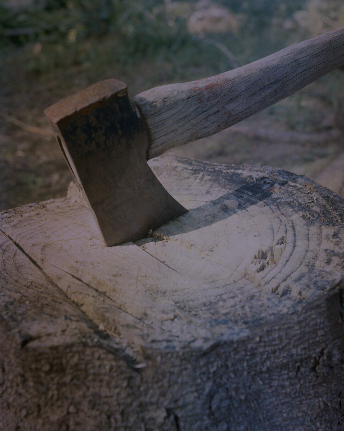 TOUT VA BIEN 2015 © JH Engström