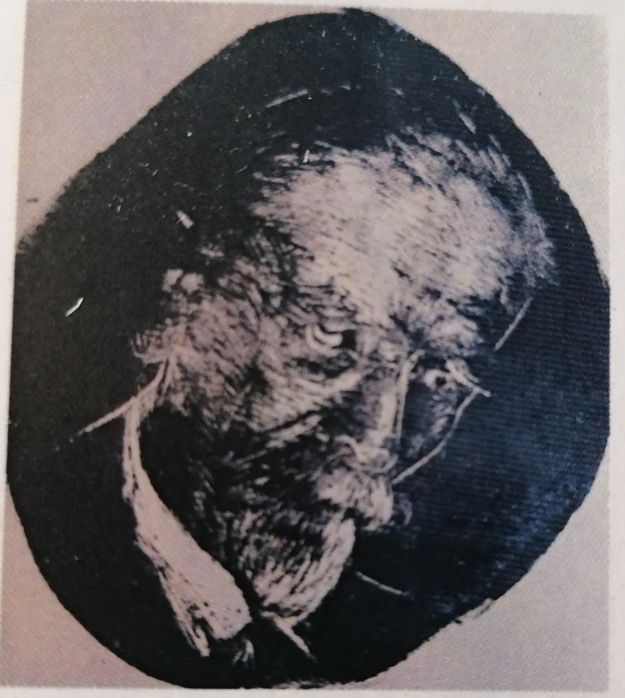 Κωστής Παλαμάς