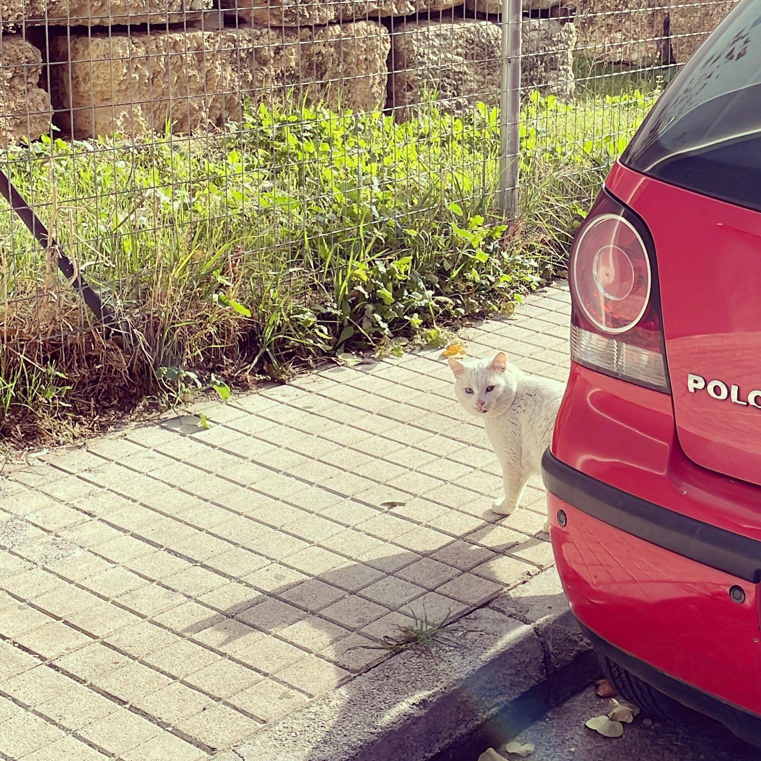 Η εβδομάδα στην Αθήνα σε 7 φωτογραφίες: Από τo Σύνταγμα στον Jack Savoretti