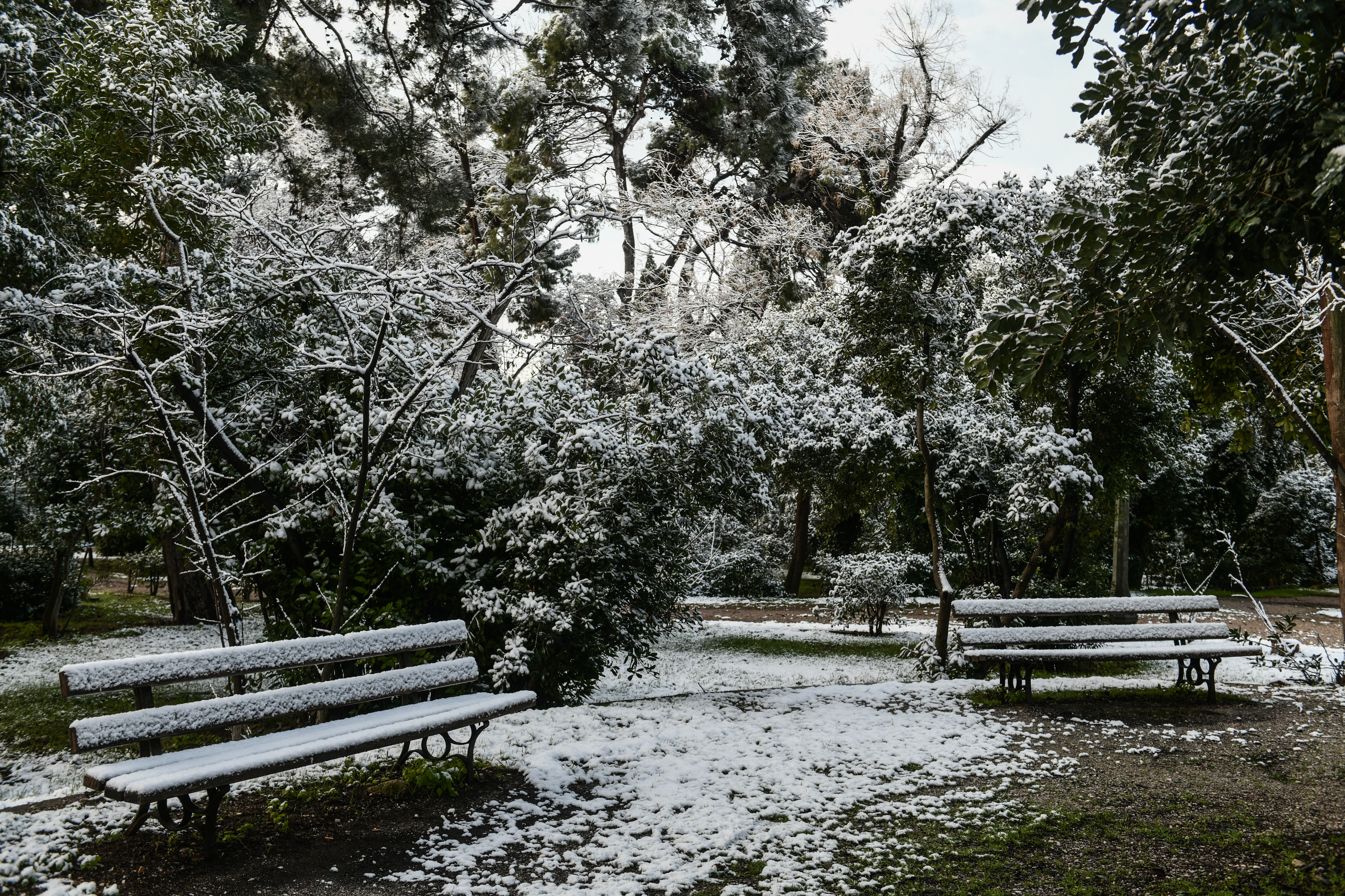 Χιονόπτωση στην Αθήνα - Κακοκαιρία «Μπάρμπαρα»