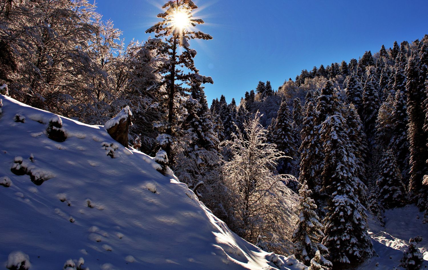 Ανήλιο, Ιωάννινα