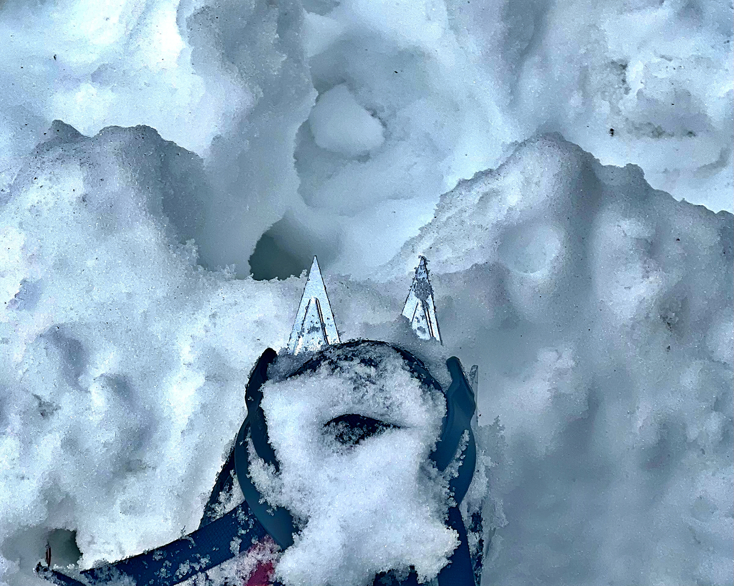 Ανάβαση στις χιονισμένες κορυφές του Ολύμπου