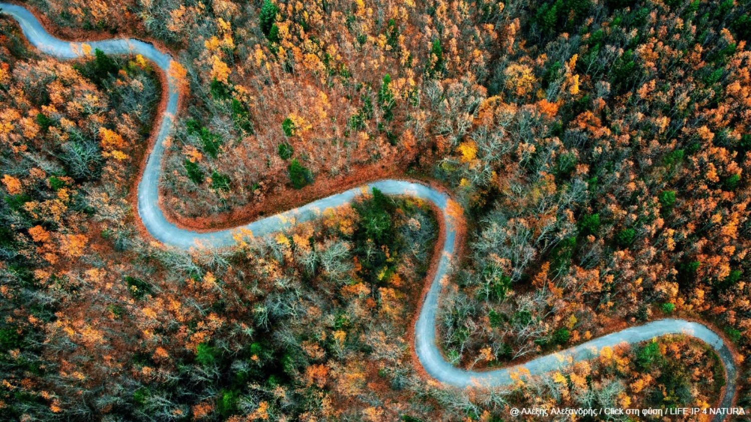 Ιωάννης Ιωαννίδης - Έπαινος στην κατηγορία “Άνθρωπος & φυσικό περιβάλλον” | Λίμνη Ορεστιάς (Καστοριάς)