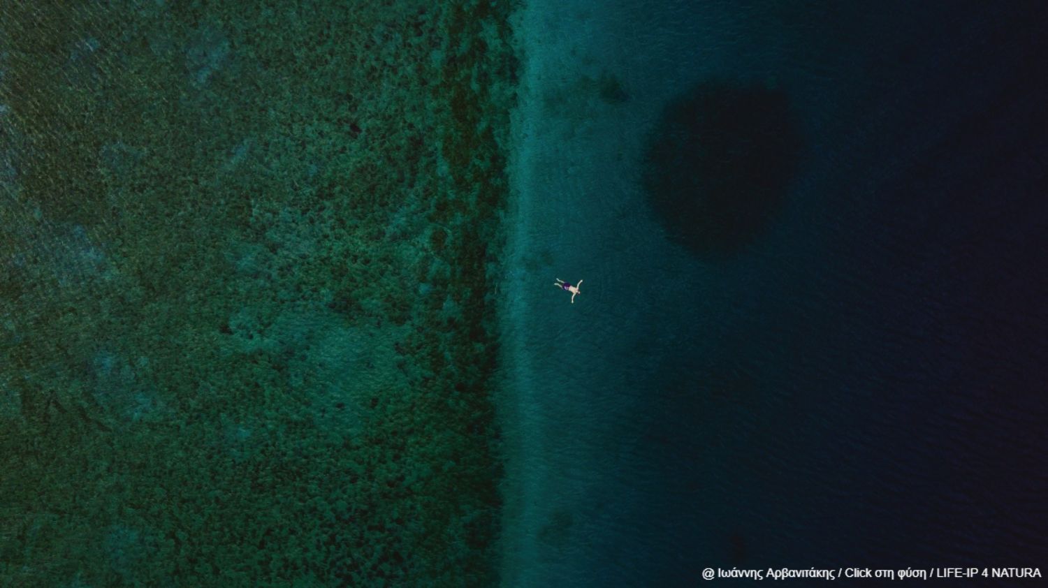 Ιωάννης Αρβανιτάκης - Ευθυμίου - Έπαινος στην κατηγορία “Άνθρωπος & φυσικό περιβάλλον” | Κορινθιακός Κόλπος 