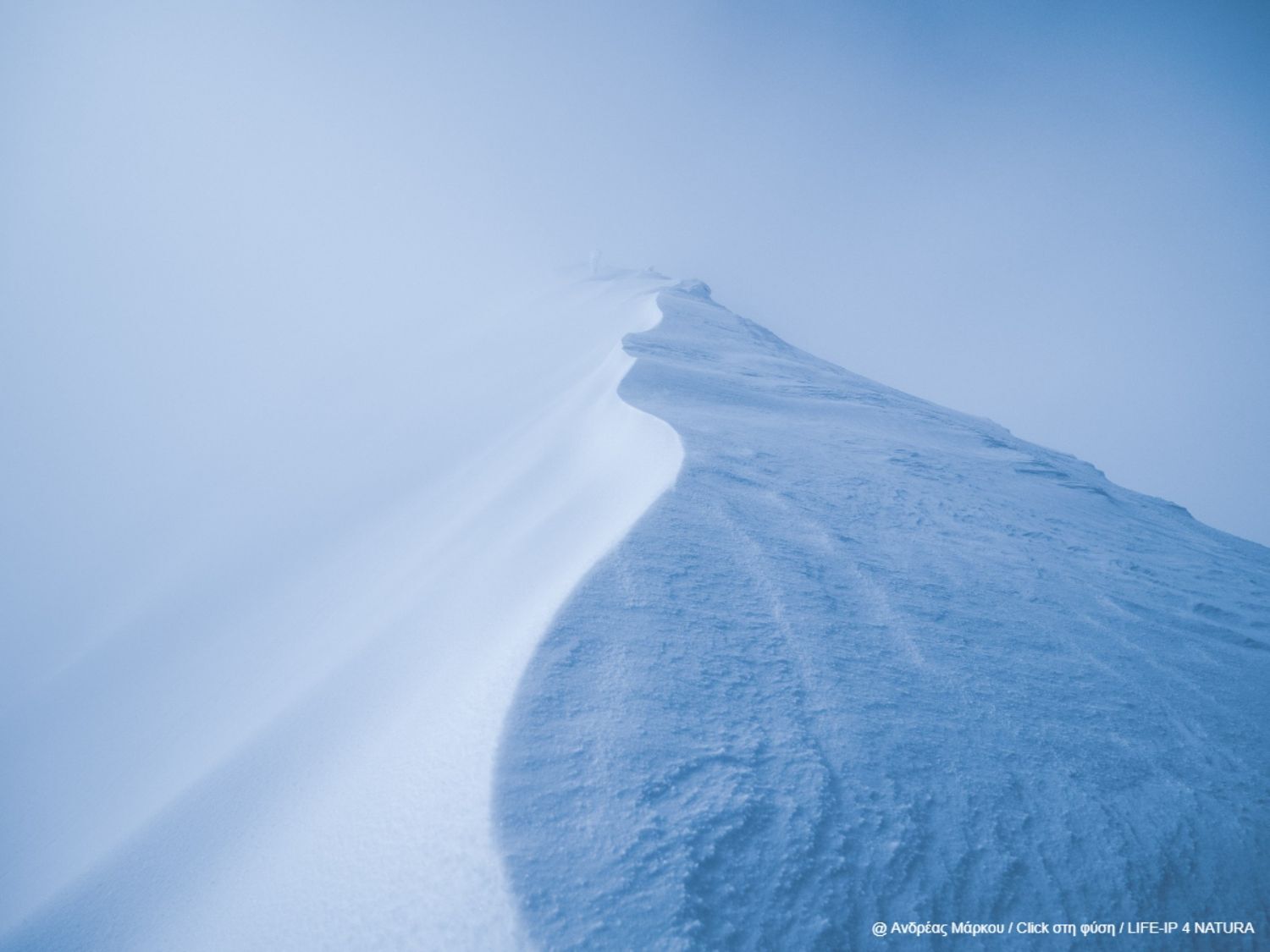 Ανδρέας Μάρκου - Έπαινος στην κατηγορία “Φυσικό Τοπίο” | Όρος Ταΰγετος - Λαγκάδα Τρυπής 