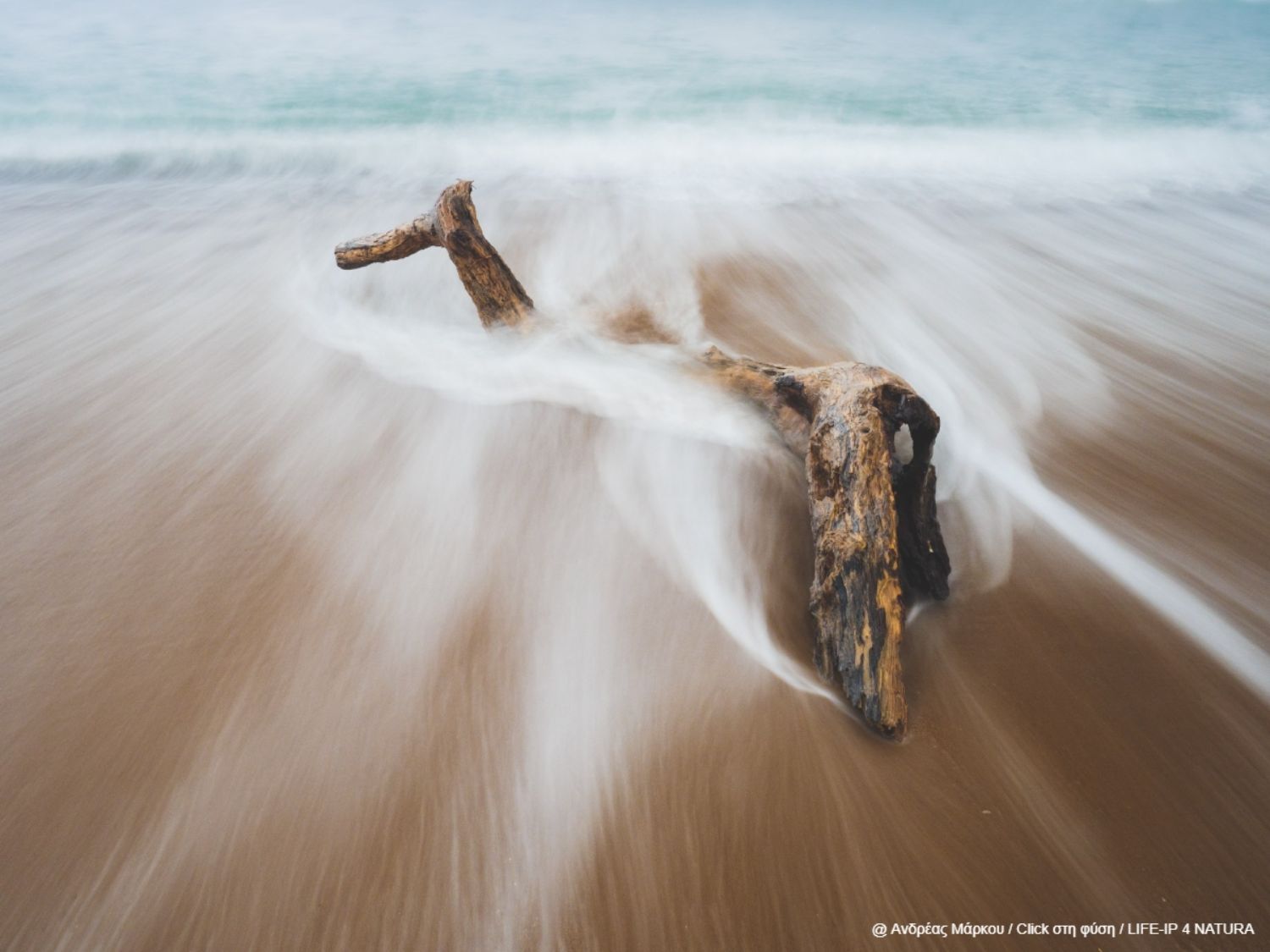 Ανδρέας Μάρκου - Έπαινος στην κατηγορία “Νερά & Θάλασσες” | Θαλάσσια περιοχή Νότιας Μεσσηνίας 