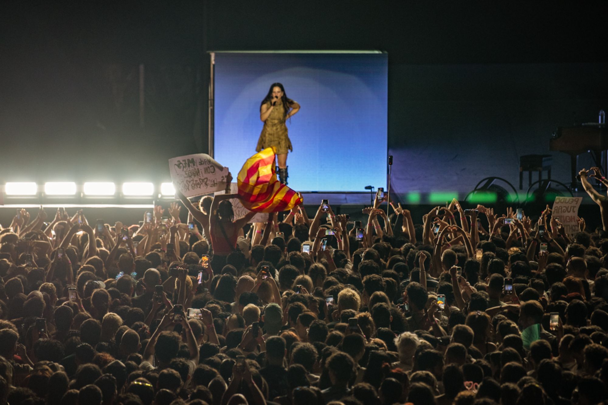 rosalia-release__33_