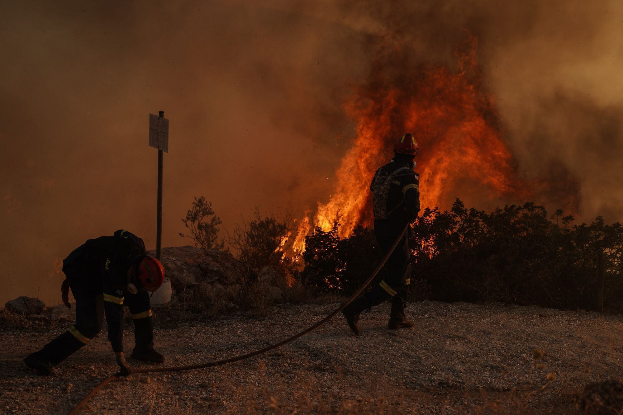 © Nick Paleologos / SOOC