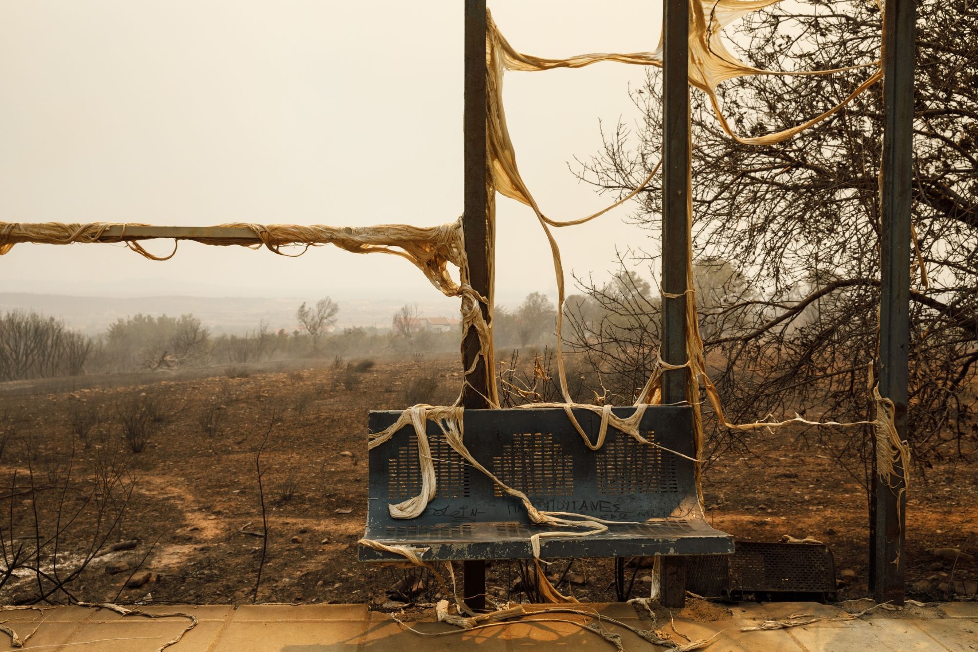 Καταστροφή από το πύρινο μέτωπο στην Αλεξανδρούπολη ©Konstantinos Tsakalidis / SOOC