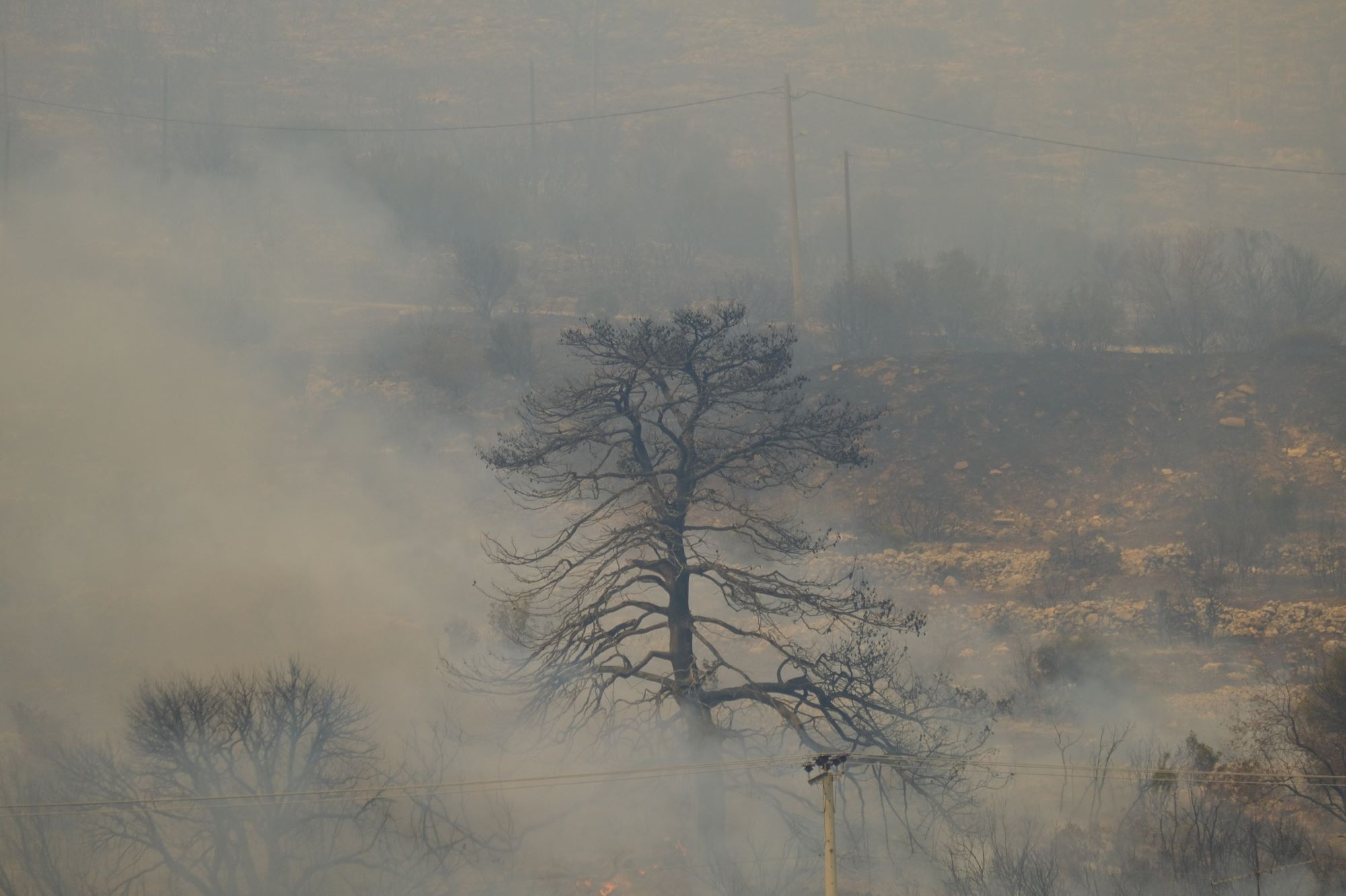 Πύρινο μέτωπο στη Φυλή ©Alexandros Michailidis / SOOC