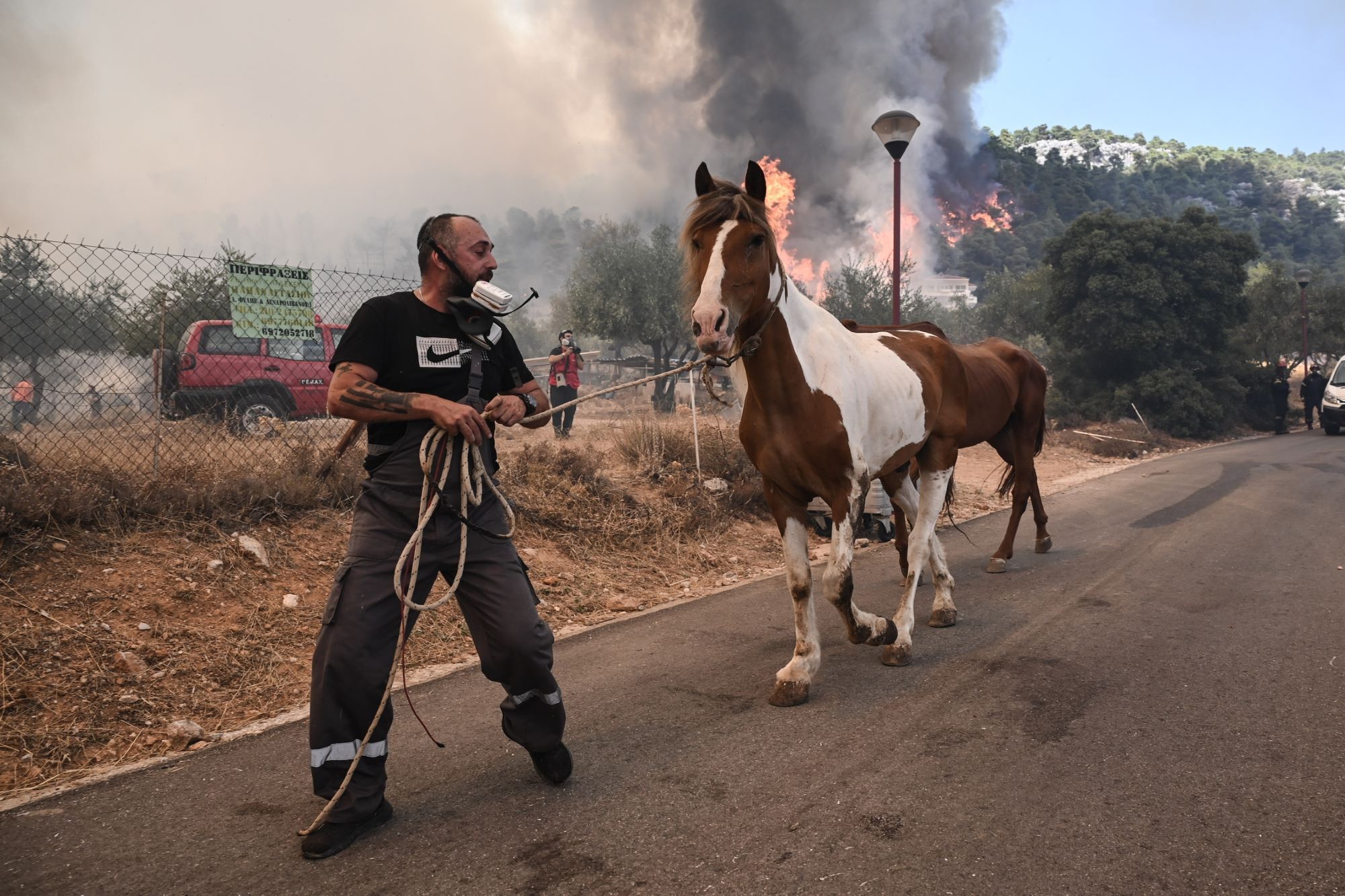Πύρινο μέτωπο στη Φυλή ©Nephele Nomikou/ SOOC