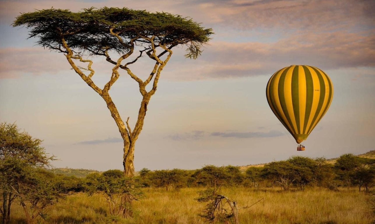 ένα αερόστατο σε ένα τοπίο στην Τανζανία