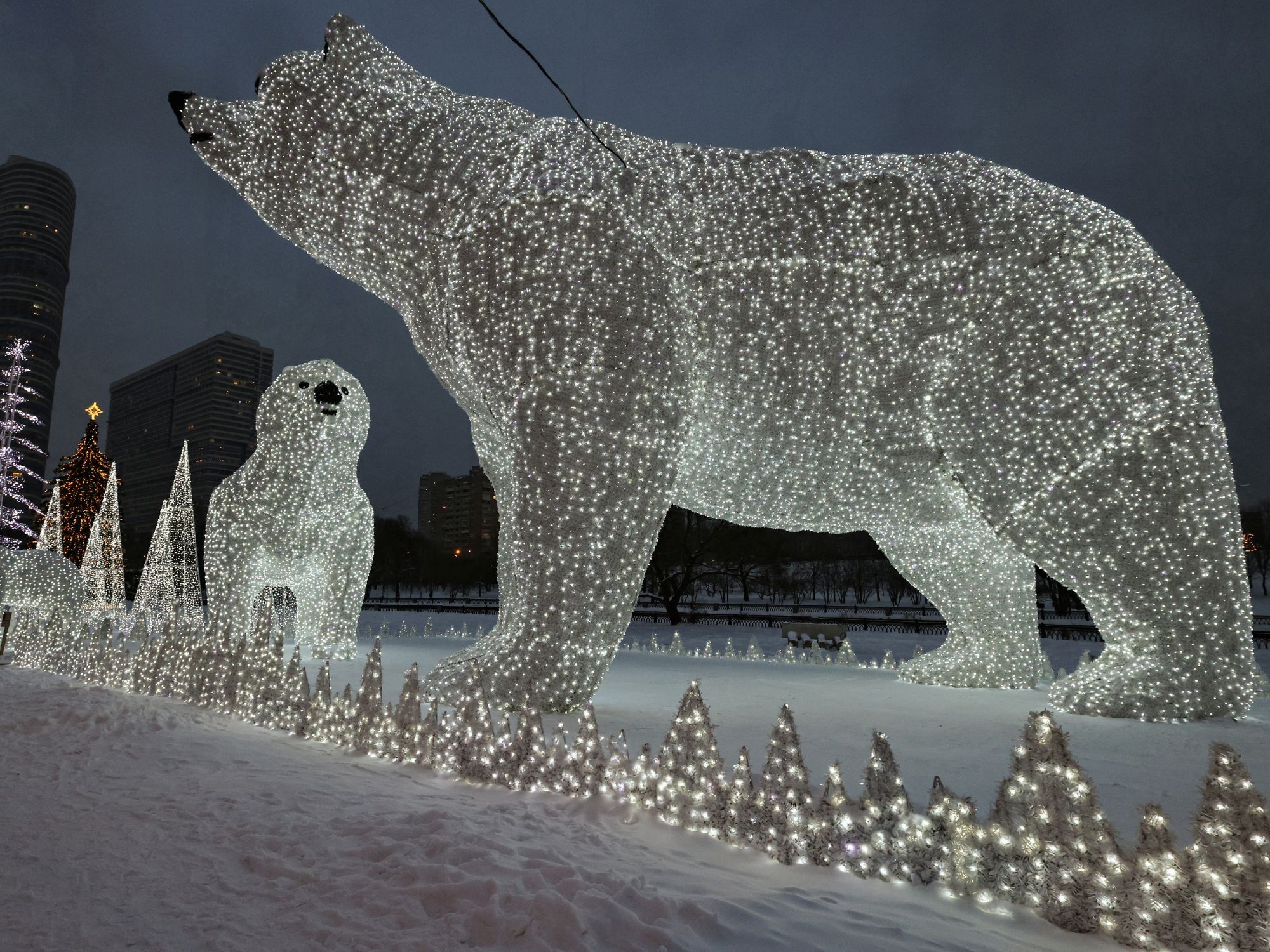 Τεράστια φωτεινά γλυπτά πολικών αρκούδων τοποθετήθηκαν  στη Μόσχα της Ρωσίας 