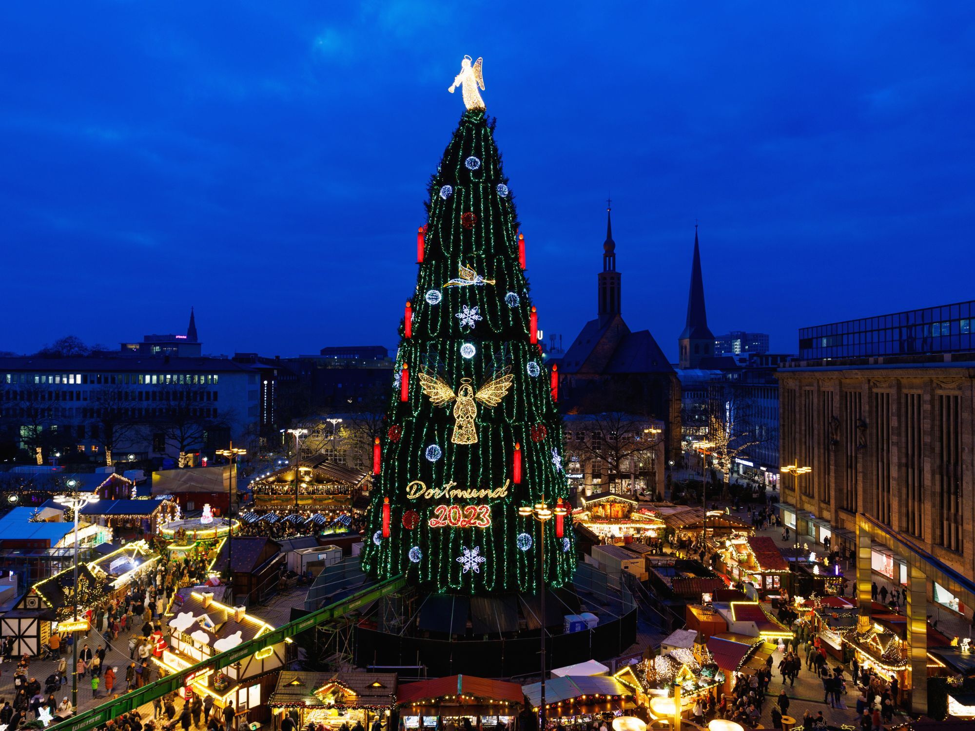 Ένα από τα ψηλότερα δέντρα του κόσμου βρίσκεται στο Ντόρτμουντ της Γερμανίας