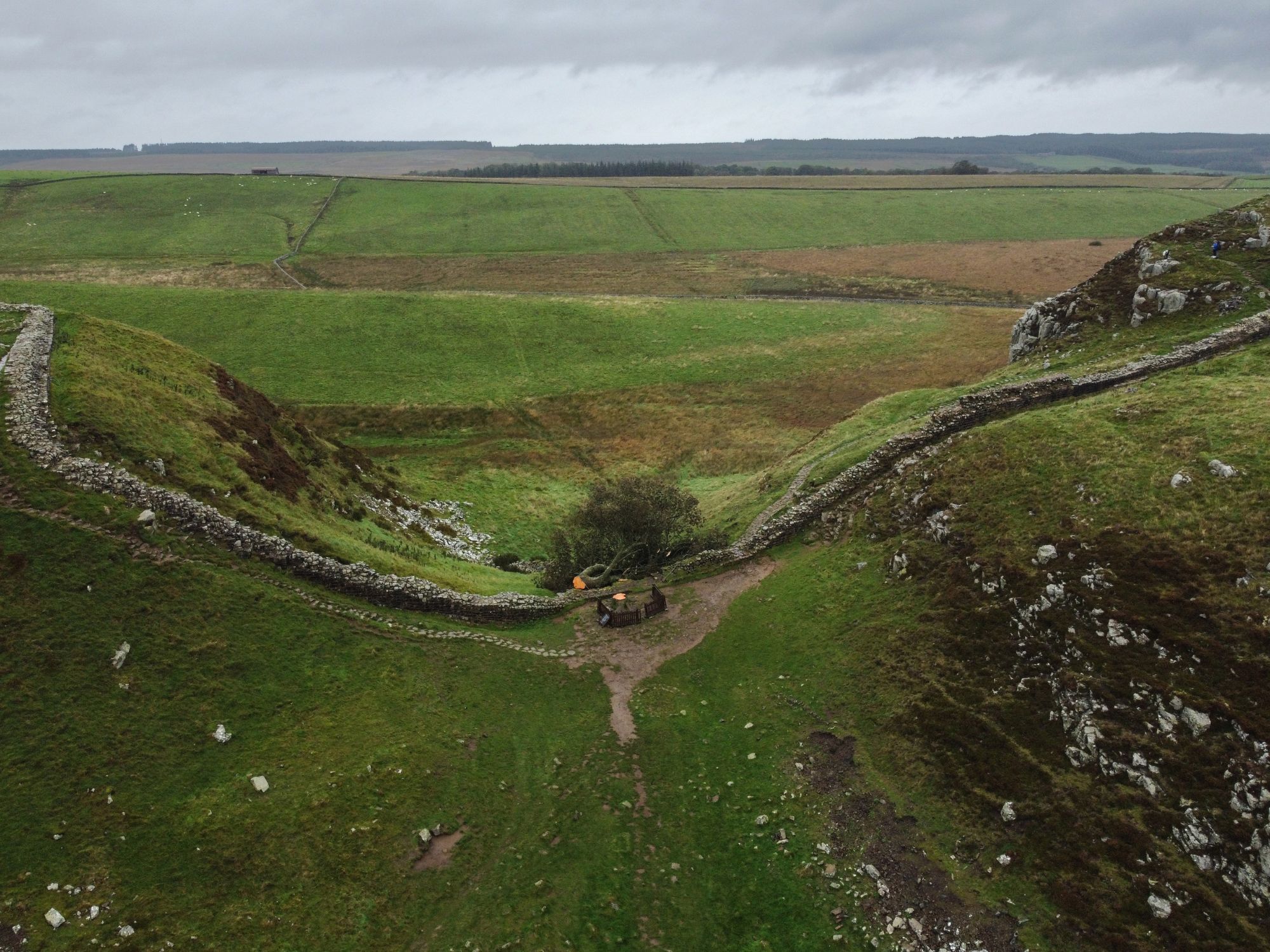 Το δένδρο του Sycamore Gap στη Βρετανία βρέθηκε κομμένο με ηλεκτρικό πριόνι στις 5 Οκτωβρίου