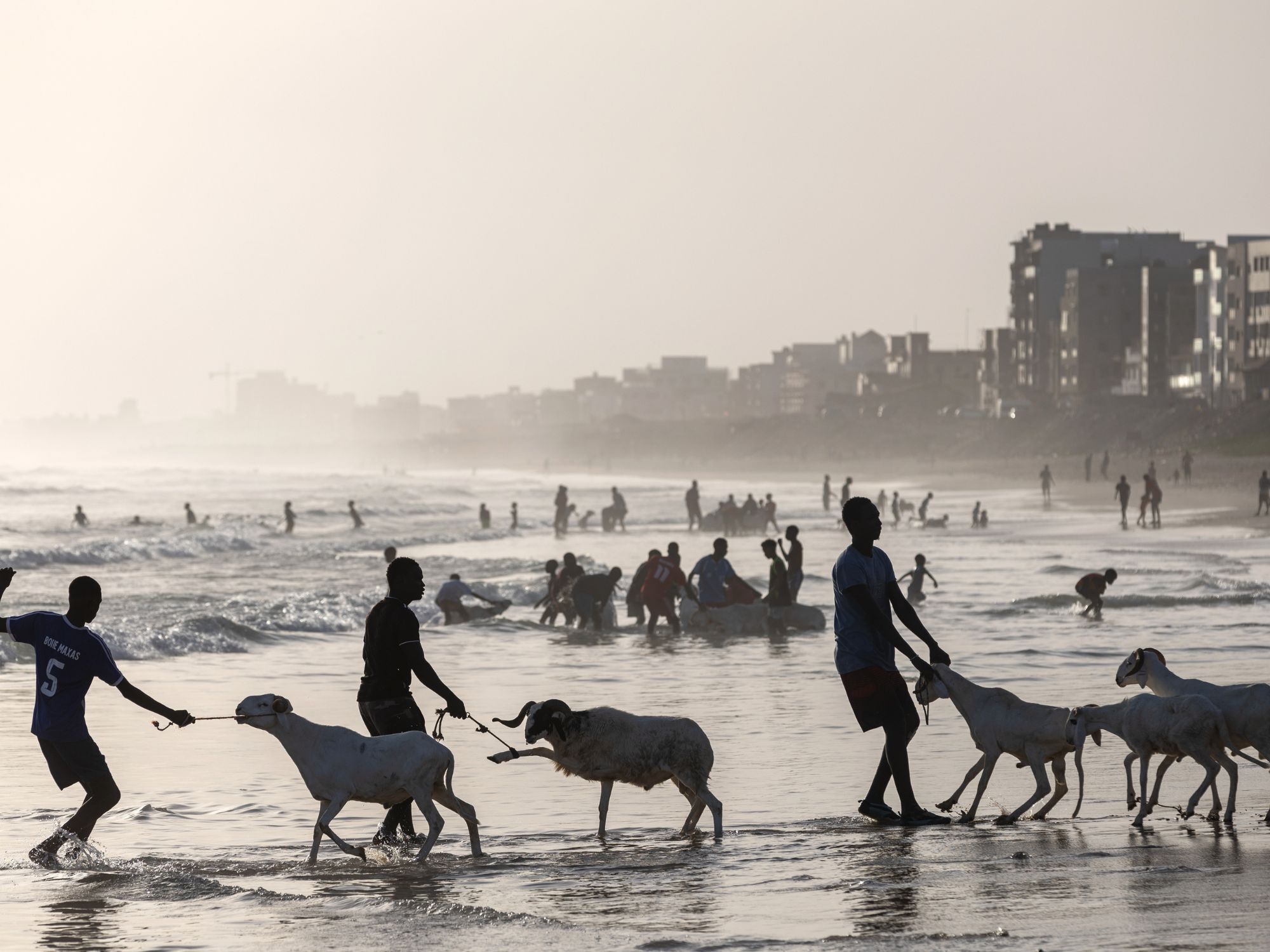Οι άνθρωποι πλένουν τις κατσίκες τους στον ωκεανό στις 29 Ιουνίου και τις προετοιμάζουν για το Ιντ αλ-αντχά