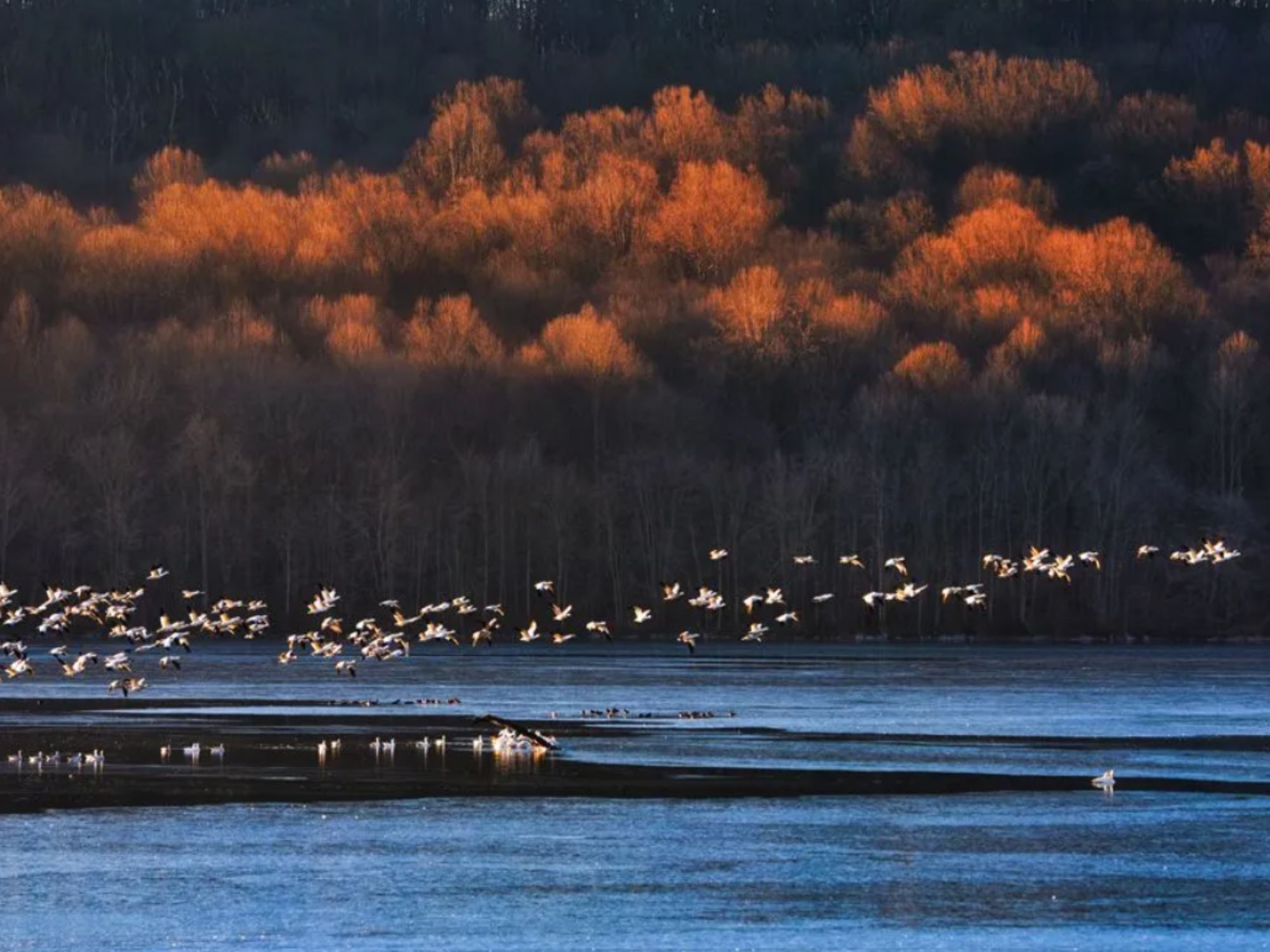 Βραβείο «Young Travel Photographer of the Year» 15-18 ετών στη 17χρονη Lilly Zhang ( Πενσυλβάνια)