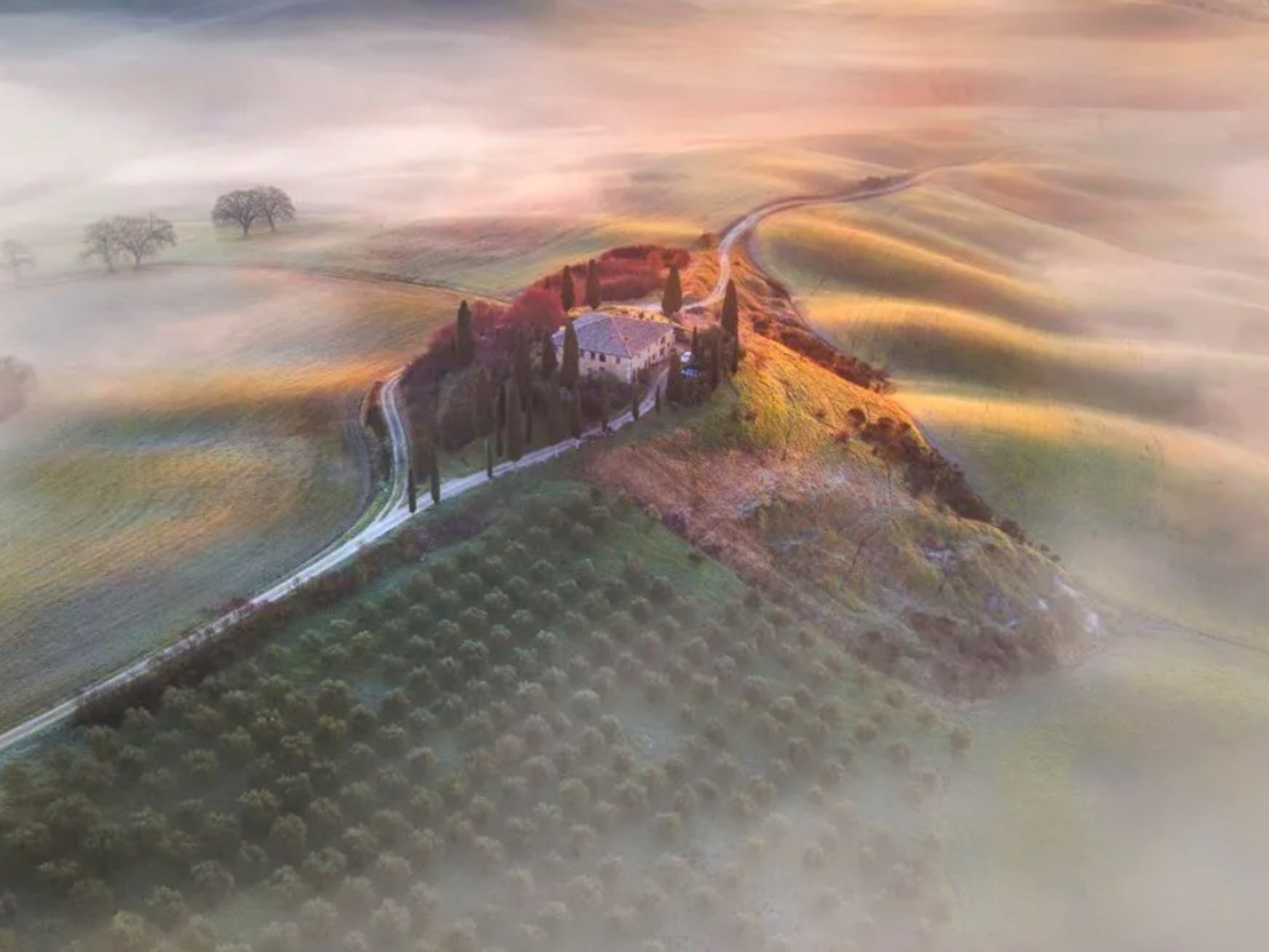 Νικήτρια της χρονιάς η Σλοβένα AndreJa Ravnak (Τοσκάνη) 