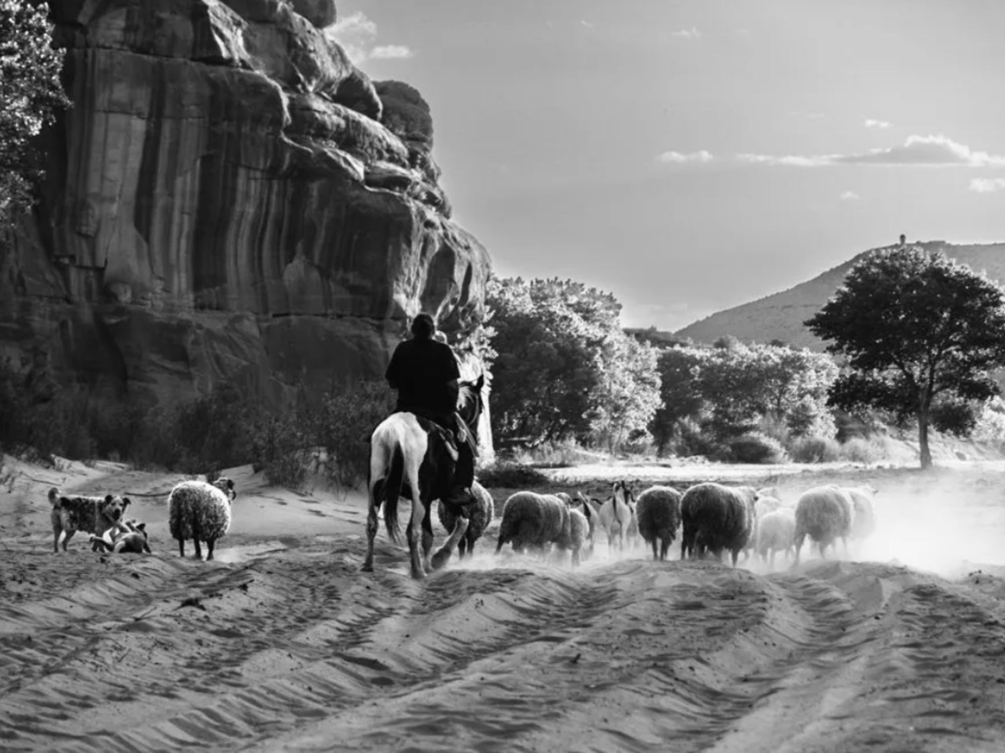 Bραβείο «Young Travel Photographer of the Year» στη 14χρονη Caden Shepard Choi (Αριζόνα, ΗΠΑ)