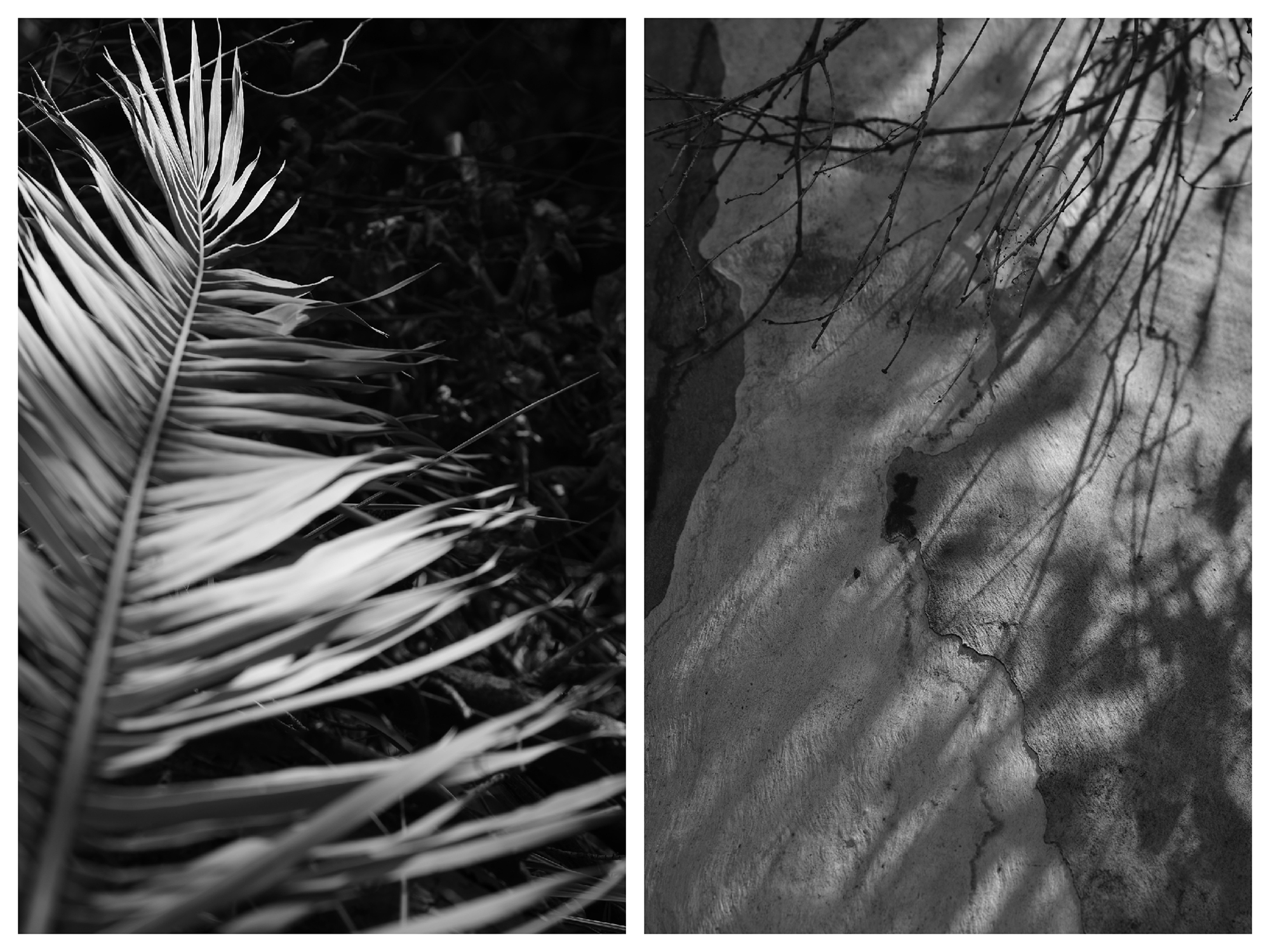 «Αθήνα, μέσα από τα μάτια των Ουκρανών»: Έκθεση φωτογραφίας από την IRC Hellas