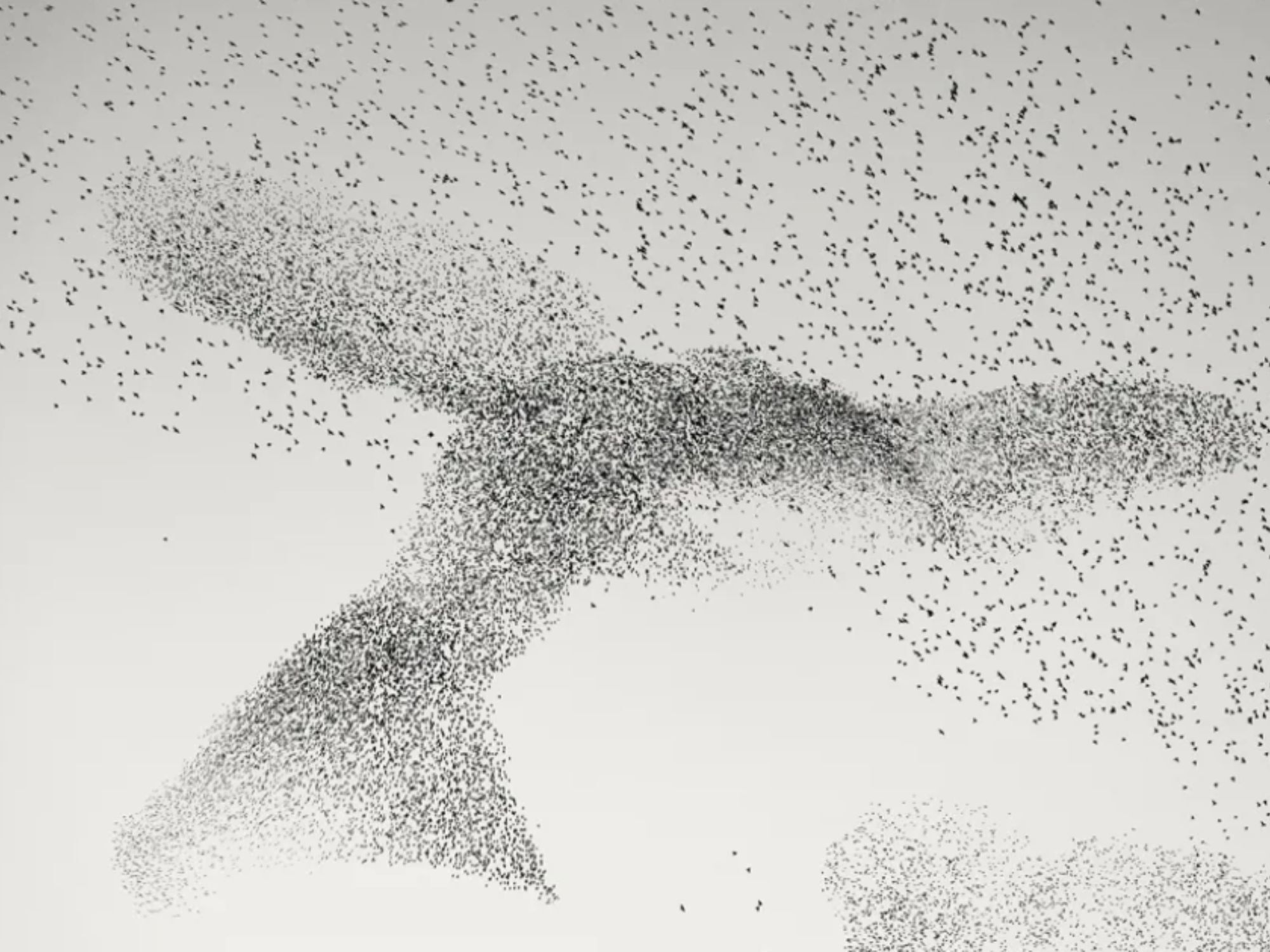 Ο Daniel Dencescu ξόδεψε ώρες ακολουθώντας τα ψαρόνια στην πόλη και τα προάστια της Ρώμης