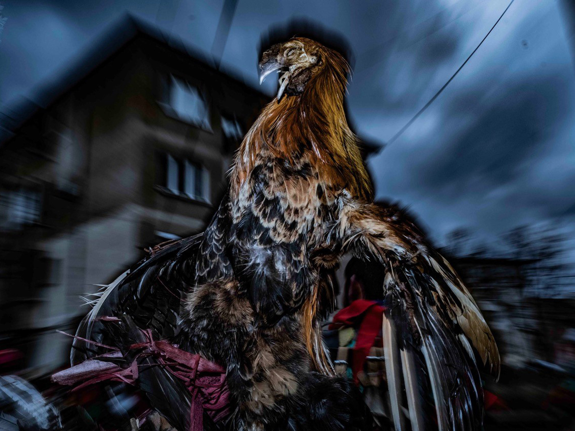 Surva Festival: Ένα Photo Story του Τάσσου Βρετού από την καρναβαλική γιορτή στη Βουλγαρία
