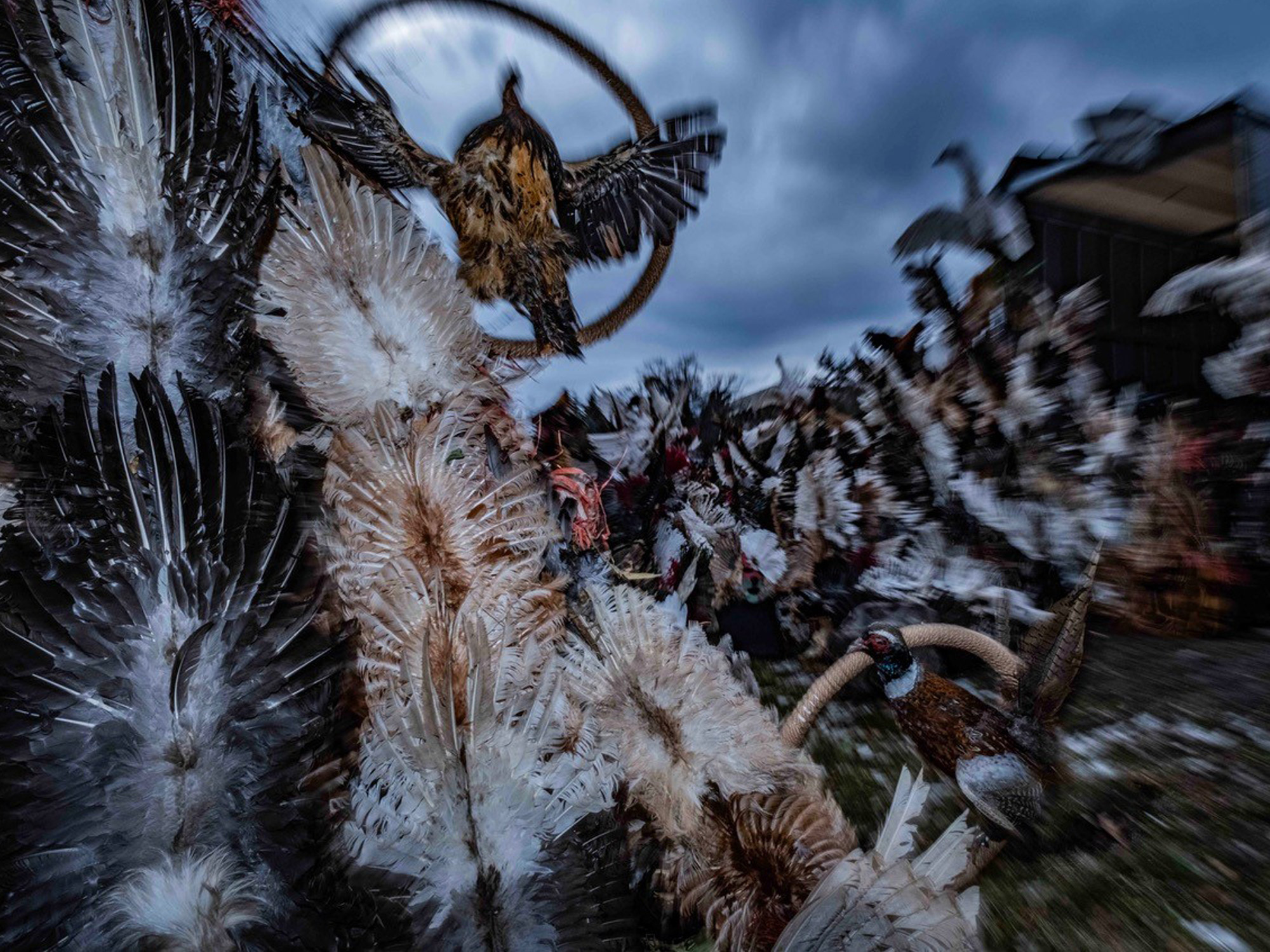 Surva Festival: Ένα Photo Story του Τάσσου Βρετού από την καρναβαλική γιορτή στη Βουλγαρία