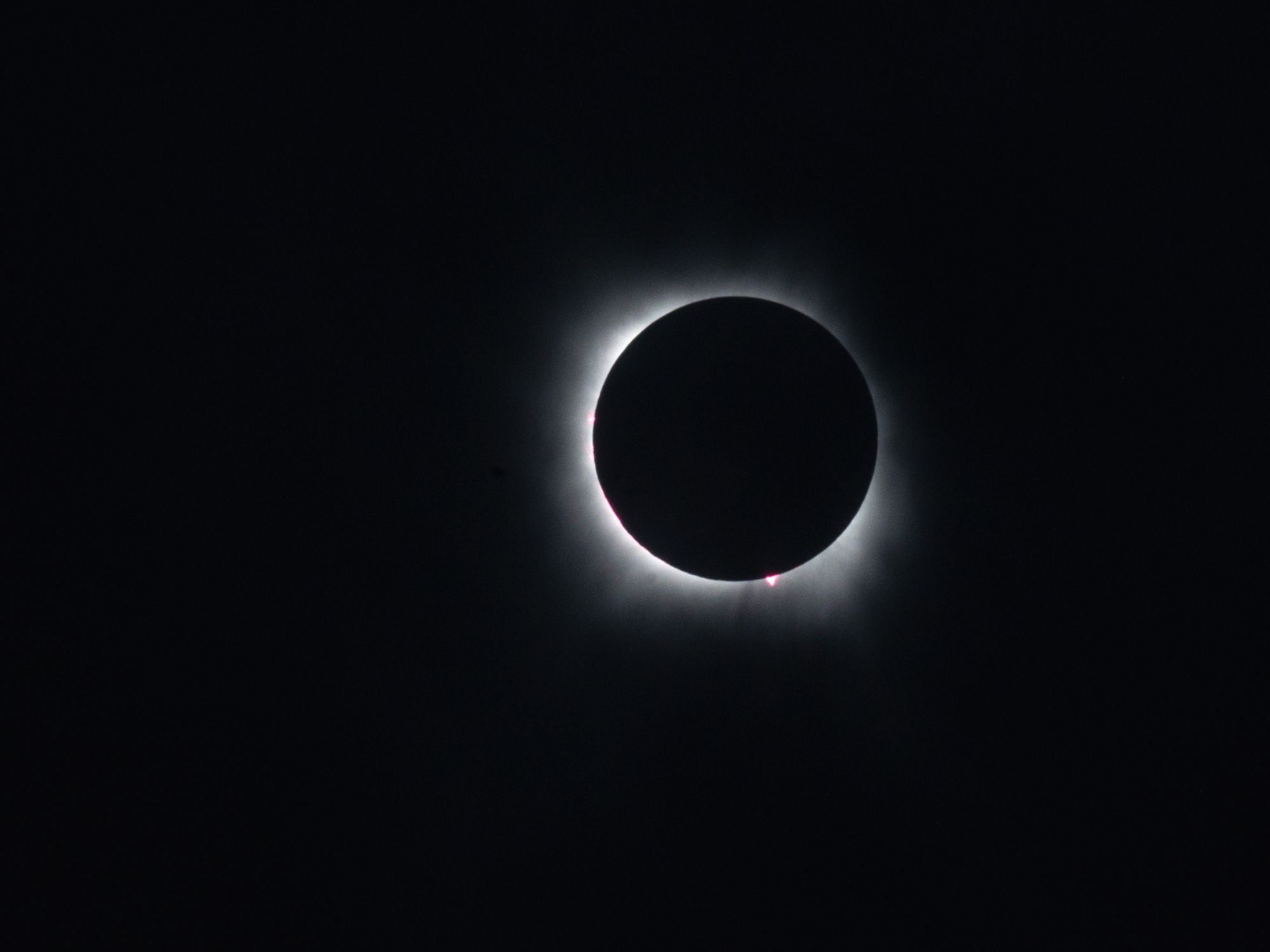 Κατά τη διάρκεια της ολικότητας, ο μαύρος δίσκος της Σελήνης πήρε τη θέση του Ήλιου και ο ουρανός σκοτείνιασε