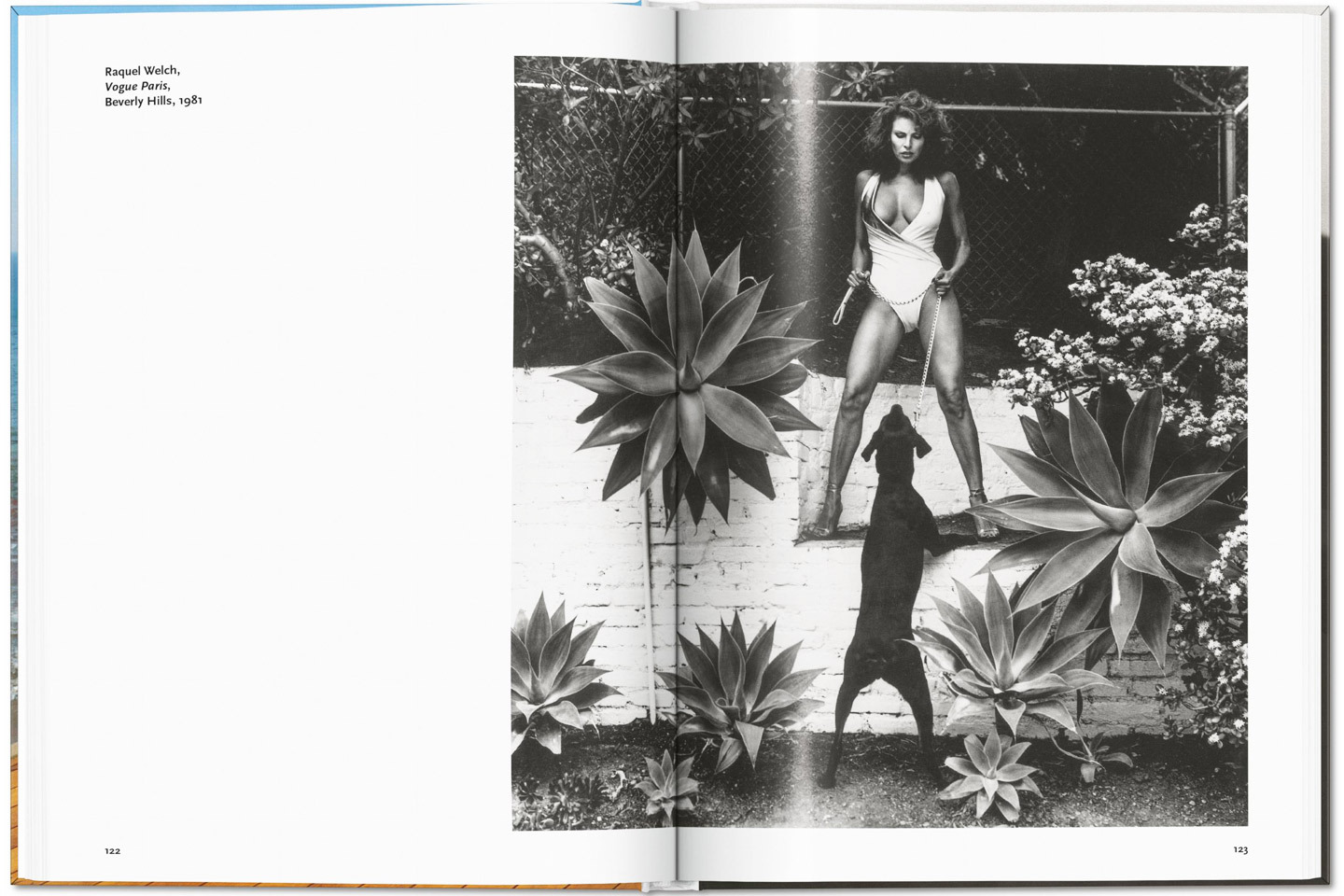 Το νέο λεύκωμα της Taschen για τον Ηelmut Newton