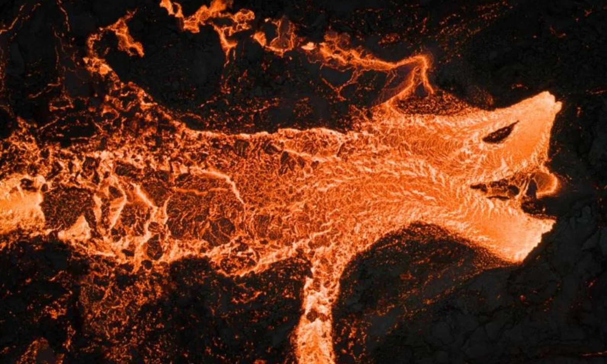 Elddreki / Fire Dragon 