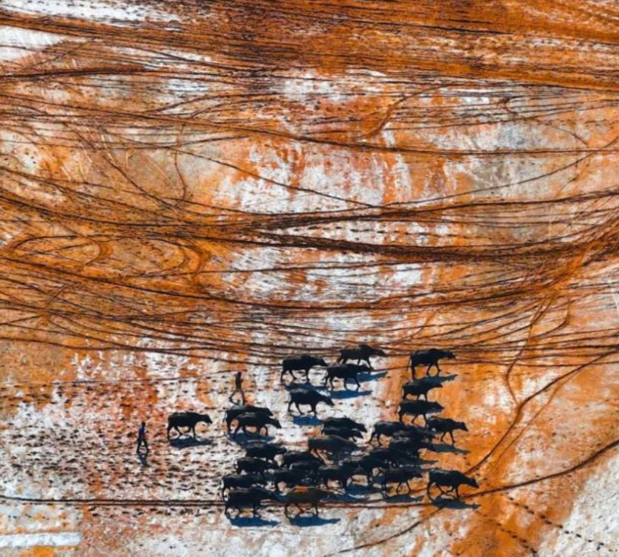 Marching in the Salt Marsh