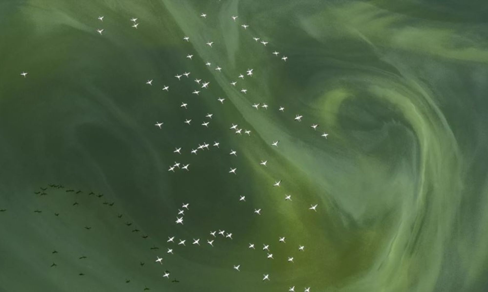 Stay Where your Heat smiles