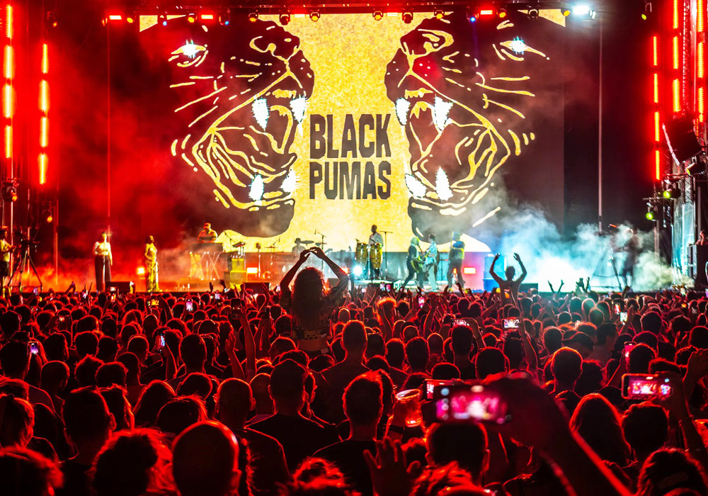 The Black Pumas