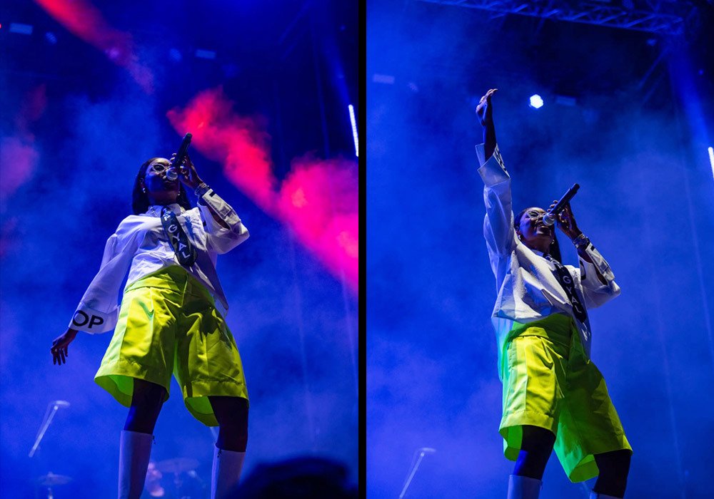 Thievery Corporation