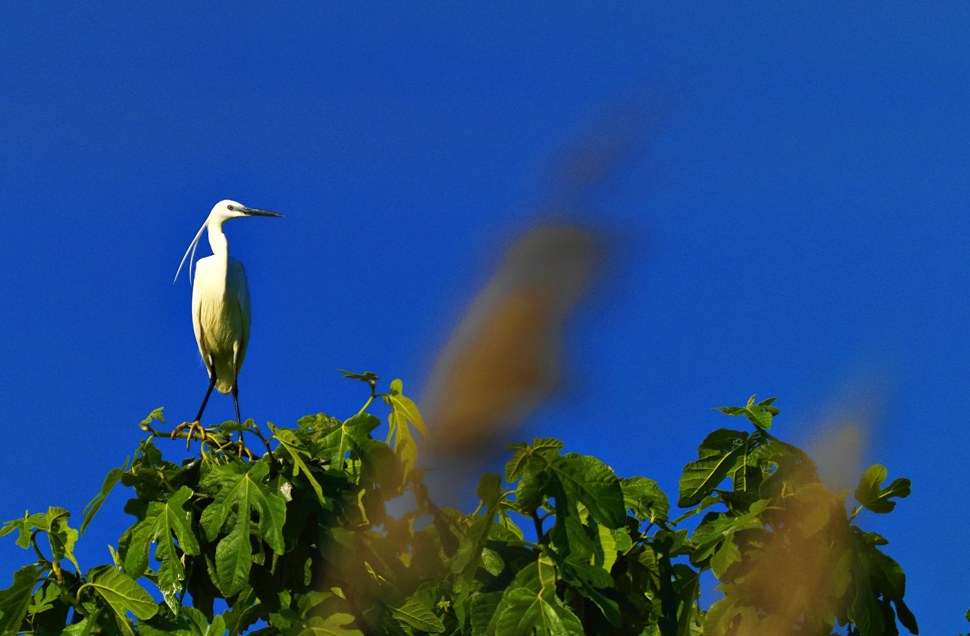 Στην Κορωνησία με το σύνθημα «Σώστε τον Αμβρακικό»
